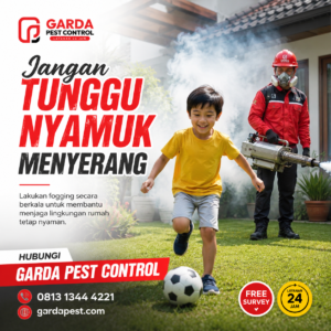 Pembasmi Nyamuk Demam Berdarah Bandung