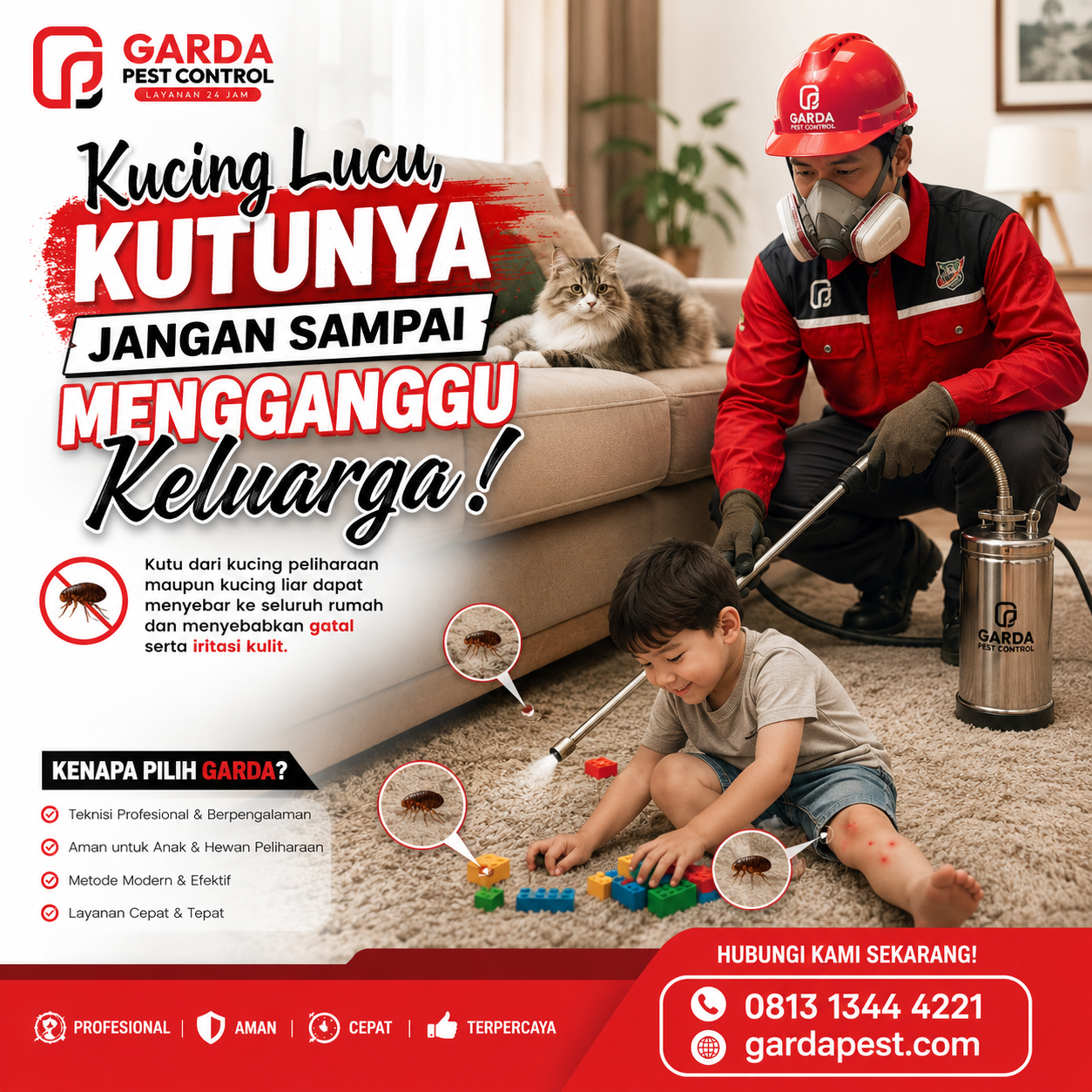 Jasa Pembasmi Kutu Kucing Bandung Aman untuk Hewan dari Agata Pest Control