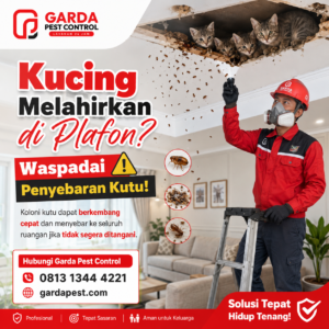 Jasa Pembasmi Kutu Loncat Bandung