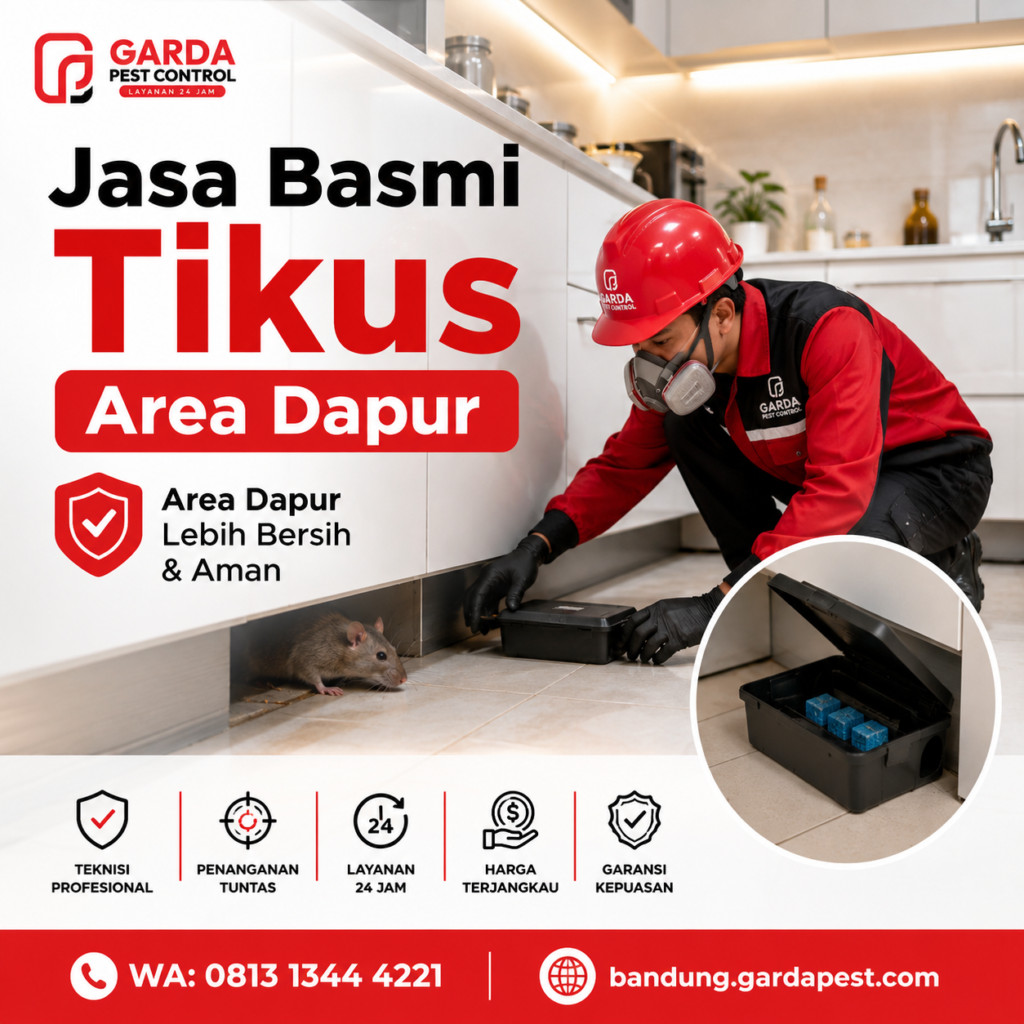 Biaya Jasa Pembasmi Tikus di Bandung: Panduan Harga dan Solusi Efektif dari Agata Pest Control