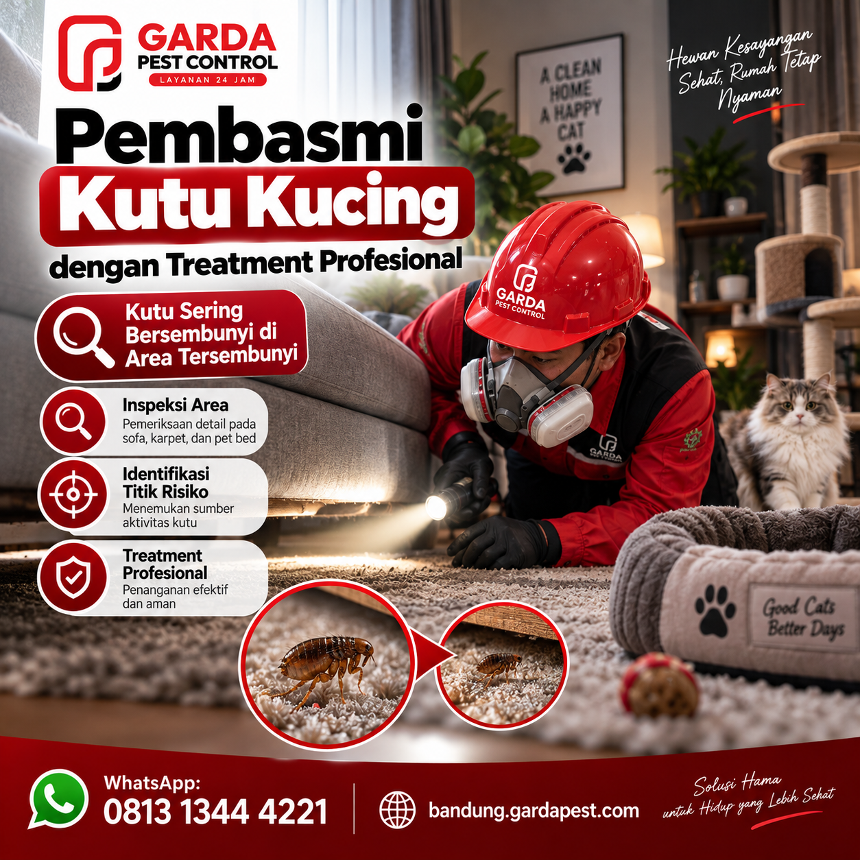 Harga Jasa Pembasmi Kutu Kucing Bandung dan Biaya Treatment Terbaru